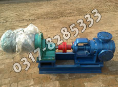 內(nèi)環(huán)式高粘度泵