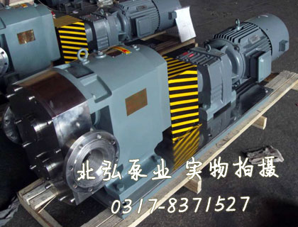 FXA不銹鋼外潤滑泵